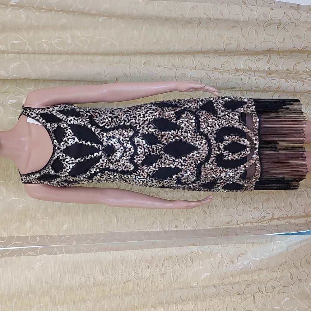 Beauties dress ,size S